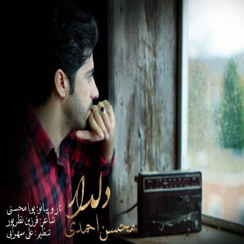 محسن احمدی دلدار